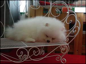 Click image for larger version. 

Name:	SDC10387.jpg 
Views:	1427 
Size:	82.3 KB 
ID:	1544