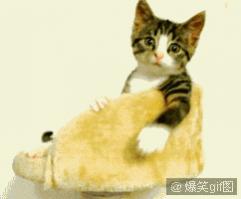 Name:  72289869tw1dzy1ax878hg.jpg
Views: 1378
Size:  6.1 KB