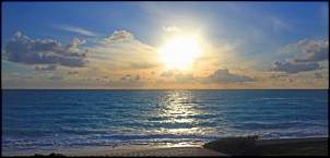 Click image for larger version. 

Name:	photo_16059_20100102.jpg 
Views:	1193 
Size:	58.2 KB 
ID:	2232