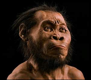 Click image for larger version. 

Name:	homo-naledi-national-geographic.jpg 
Views:	1182 
Size:	46.0 KB 
ID:	2447