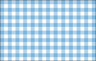 Click image for larger version. 

Name:	GINGHAM.jpg 
Views:	381 
Size:	36.4 KB 
ID:	2784
