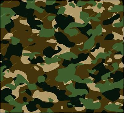 Click image for larger version. 

Name:	camouflage.jpg 
Views:	377 
Size:	39.8 KB 
ID:	2787