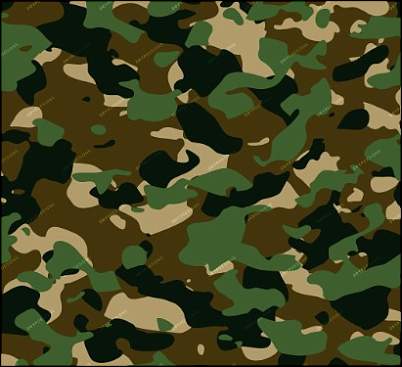 Click image for larger version. 

Name:	camouflage.jpg 
Views:	1750 
Size:	39.8 KB 
ID:	2787
